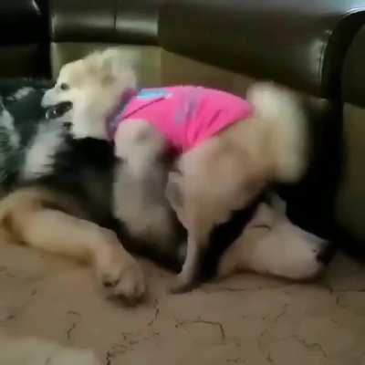 Вообщем все счастливы