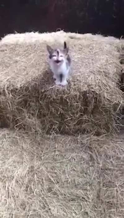 Oh lord, he's comin