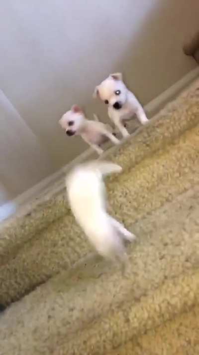 Down the stairs they go.