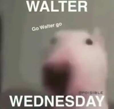 happy Walter Wednesday
