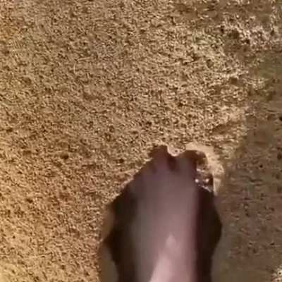 moment before disaster