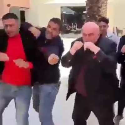 Kung fu palma