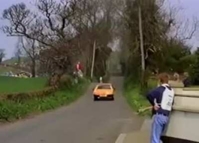 A rally spectator