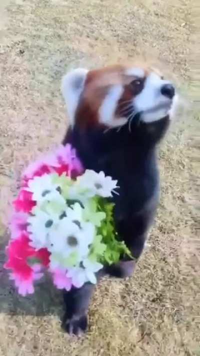 This is just so wholesome