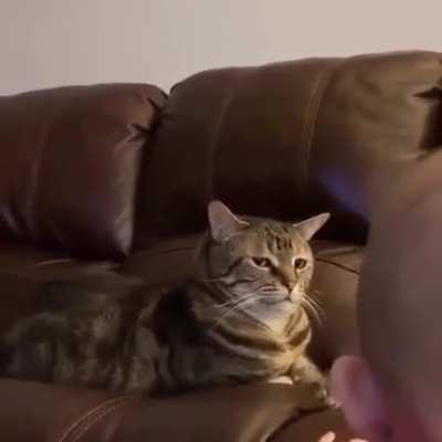 Sheer disgust