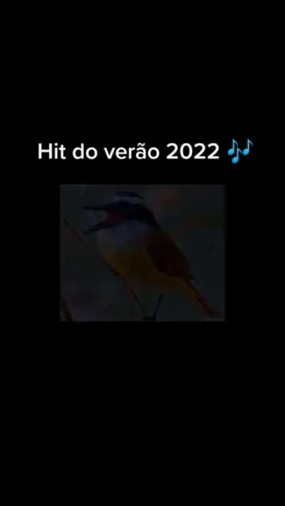 Lindo