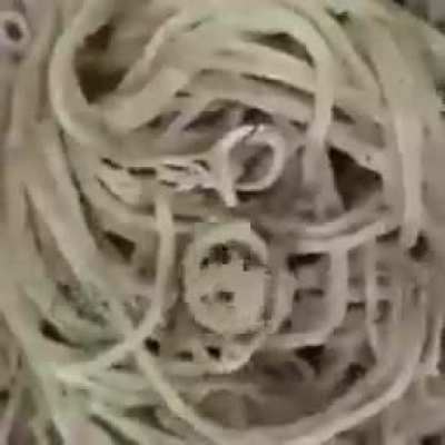 Will smith spaghetti 