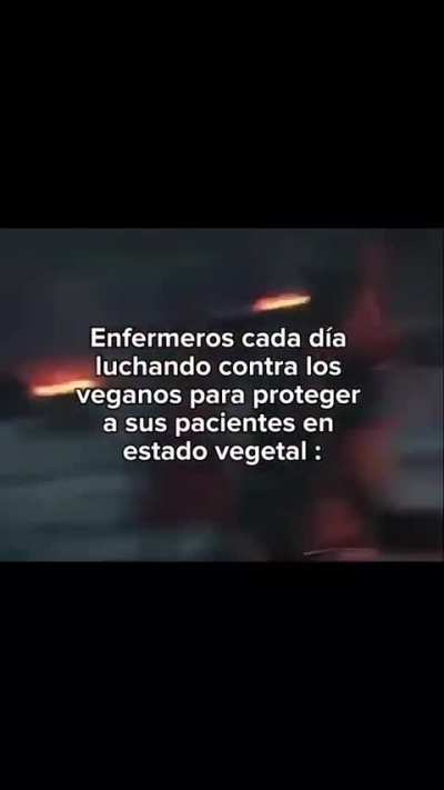 Que grandes