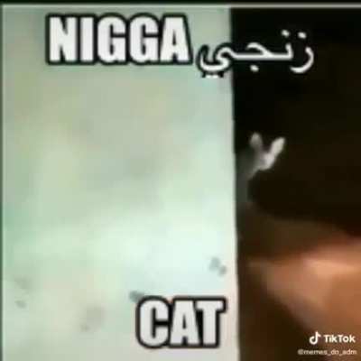 NiGgA cAt