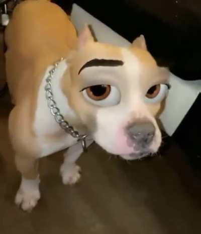 OMEGALUL