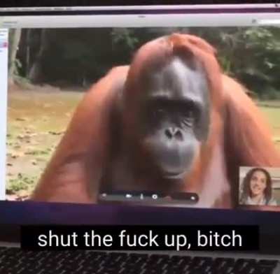 I&rsquo;m monky