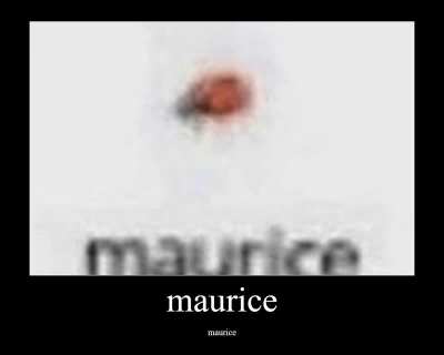 maurice