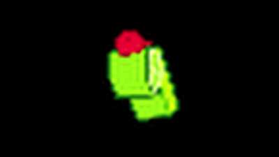 limeguard.mp4