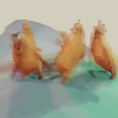 Bears RN