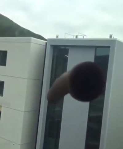 Nice throw !