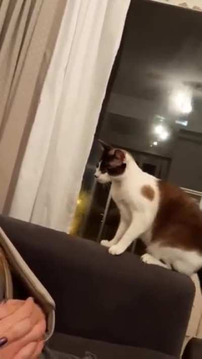 Boing