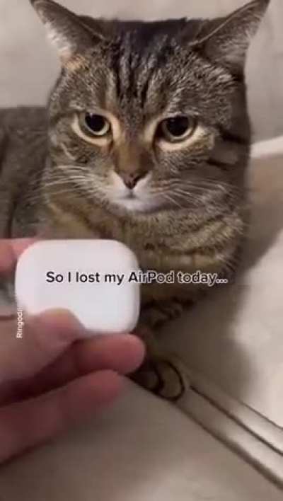 So I lost my Airpad today