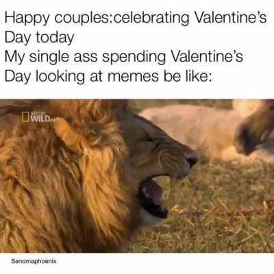 I&rsquo;m not lion it be true