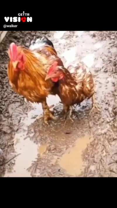 Honey, I am here for you!