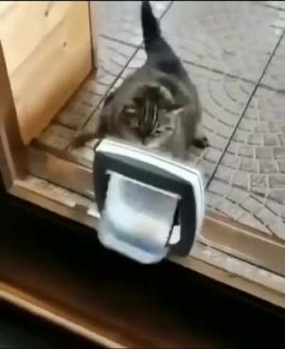 Training