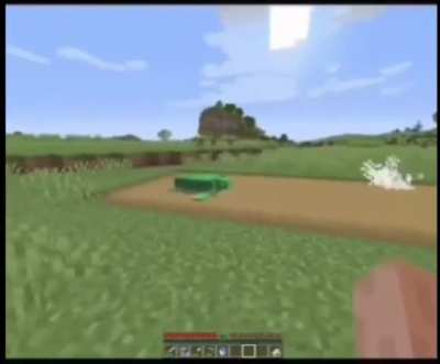 Minecraft Animal Race