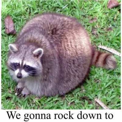 fuck u