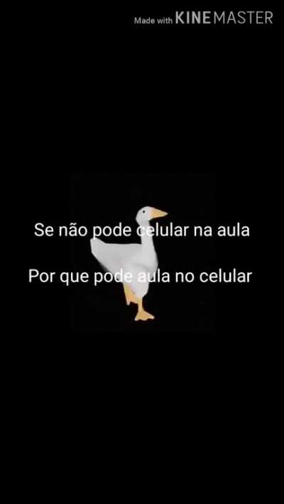 Vi uma imagem e transformei em video