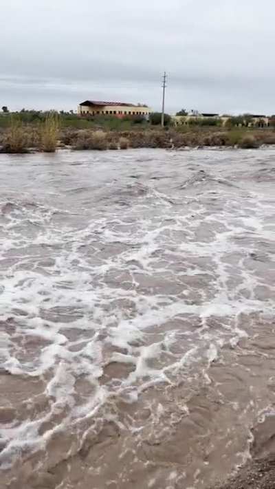 Rillito River is Temporarily A River Again ! 🌧️