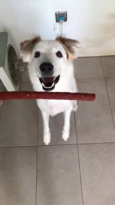 woof_irl