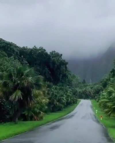 Light rain in Ho&rsquo;omaluhia Botanic Garden