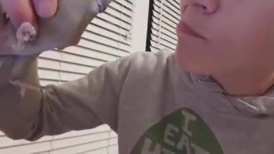Pog P&aacute;ssaro colher