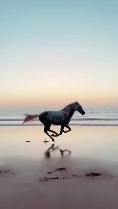 Capturing a running horse.
