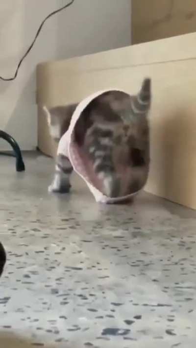 Too smol to find clothes that fit.