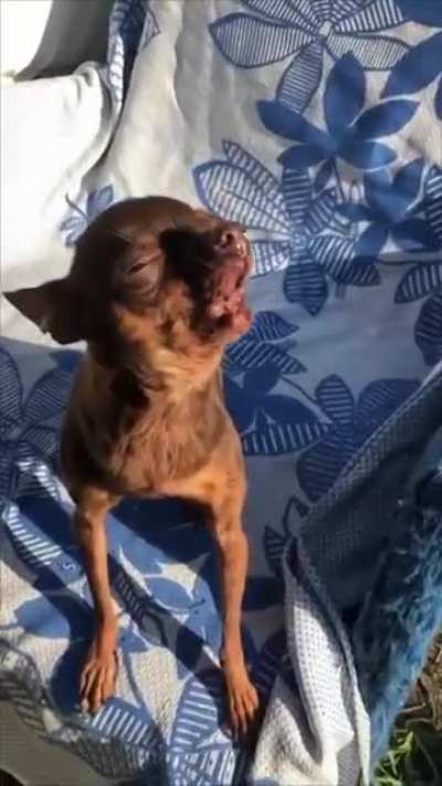 Buuuuuuuuu