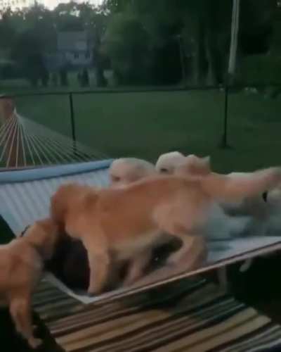Maybe Maybe Maybe