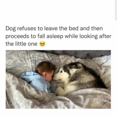 Soo so wholesome