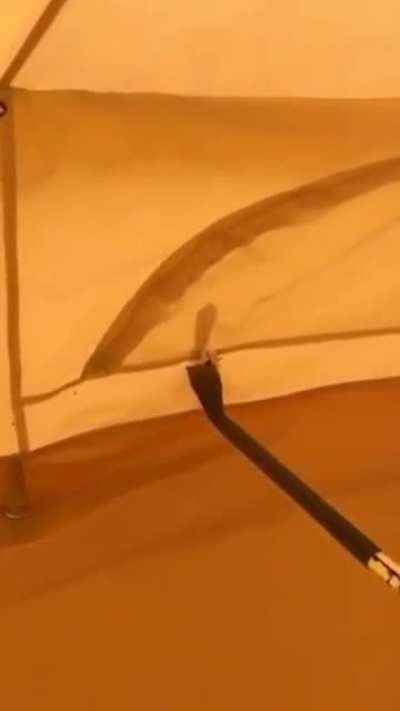 one second before disaster
