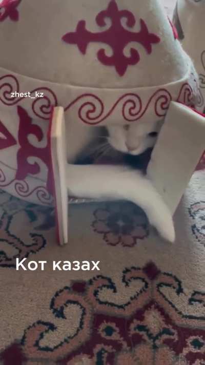 BIR KAZAKH MUSHUK YURTINI ICHINDA KIRDI 🇰🇿🛖🐈😻✨