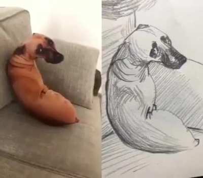 The creature