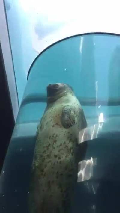 When the weed kicks in.