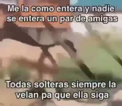 Latino floppagang