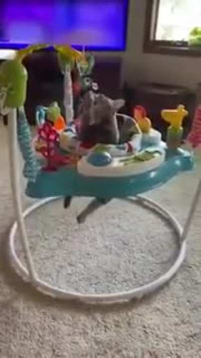 That&rsquo;s not a cat, that&rsquo;s a toddler