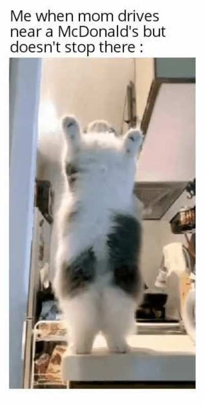 Dont go...