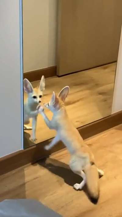 ????