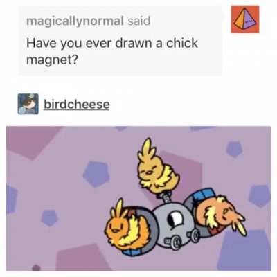 Chick magnet