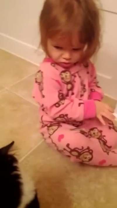 I think all cat are not like this