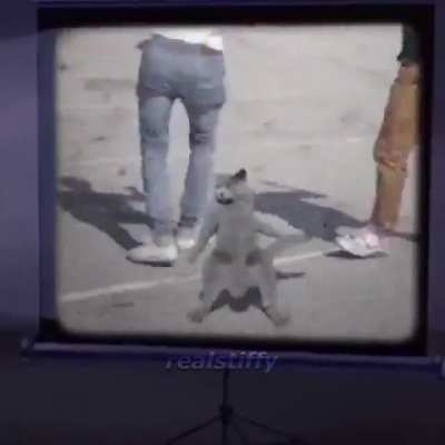 Oh no Tom