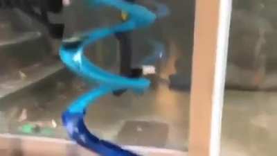 Hot Wheels go Brr!