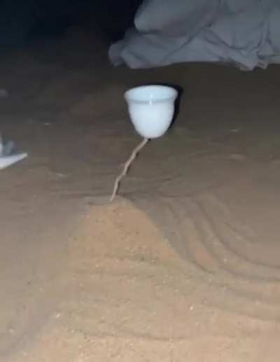 me and the dudes in the desert watching spinning mug