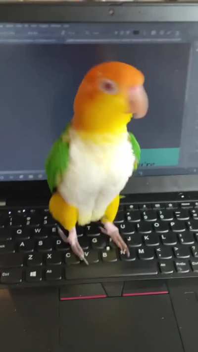 "Look, I can type faster than you"